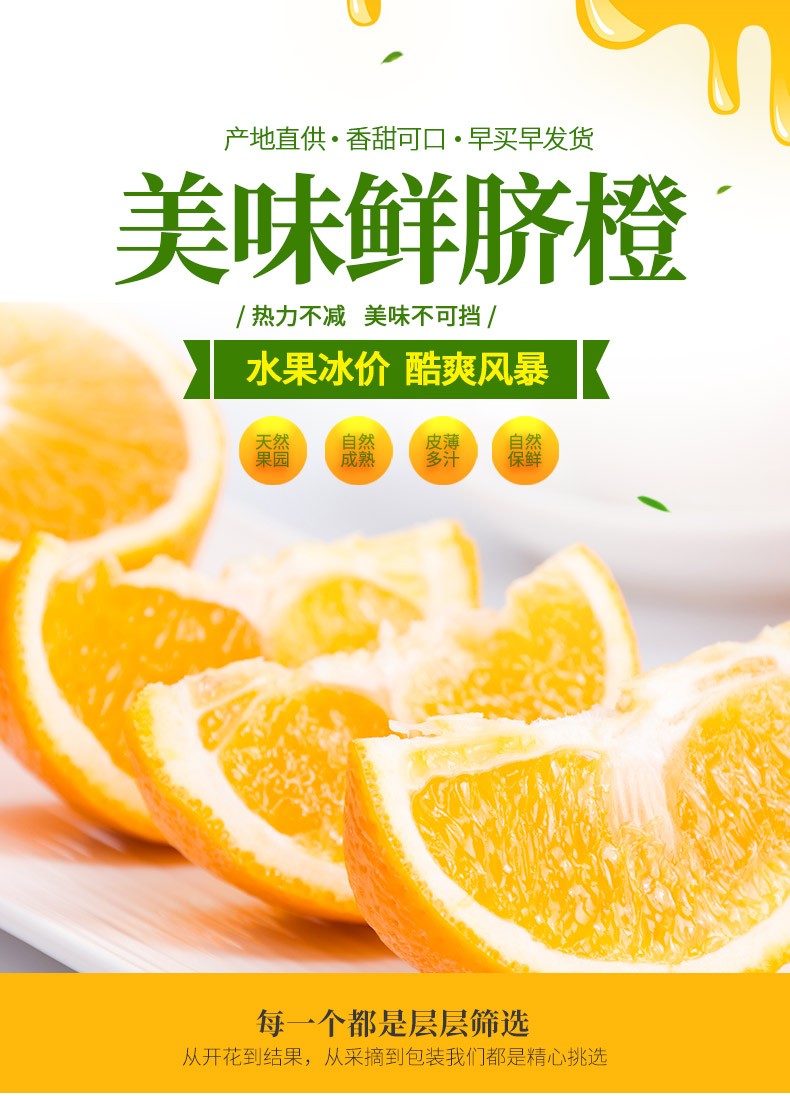 Jiangxi Gannan Navel Orange Fresh Orange Gannan Summer Orange Premium (70-75) 10 Jin Special Pack (Net Weight 9 Jin) Gannan Navel Orange | api777, ikan loncat, yoyo88, slot gajah 138(图1)