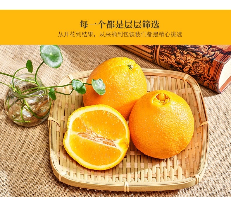 Jiangxi Gannan Navel Orange Fresh Orange Gannan Summer Orange Premium (70-75) 10 Jin Special Pack (Net Weight 9 Jin) Gannan Navel Orange | api777, ikan loncat, yoyo88, slot gajah 138(图6)