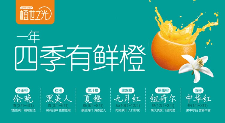 Authentic Zigui Lun late sweet oranges, fresh seasonal fruits, high-quality large fruits, 15-18 pieces, gift box, 10 jins, net 8.8 jins | togel onlinebet com, situs ceme online terbaik, hoki268(图1)