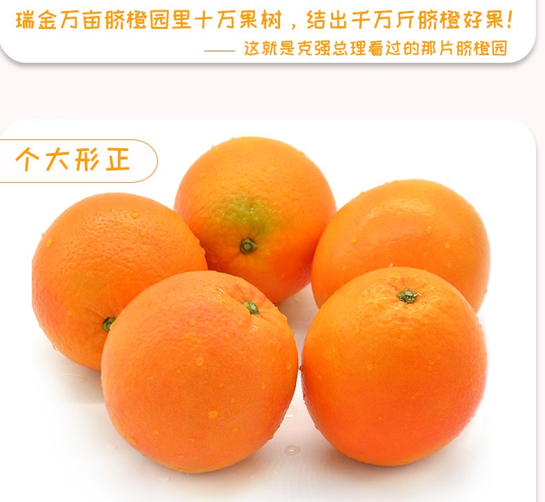 Gannan Xia Navel Orange Fresh Fruit New Years Gift Picked Fruit Gift Box with Box 10 Jin Single Fruit Fruit Diameter 80-89mm | jam gacor pragmatic play hari ini, slot853, purislot rtp, vegas99bet(图3)