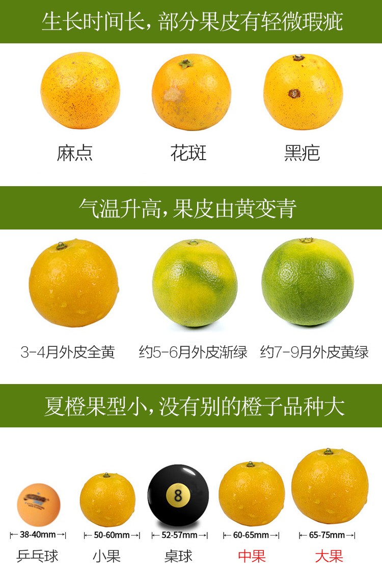 Zigui navel orange juice, orange juice, sour and sweet oranges, fresh seasonal fruits, mixed medium and large fruits, 10 jins in box, 9 jins net | syair macau 23 april 2023, slots empire free spins(图8)